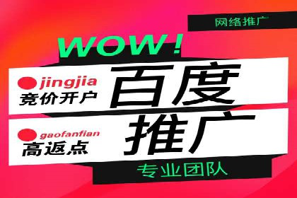 SEM竞价托管实战案例解析